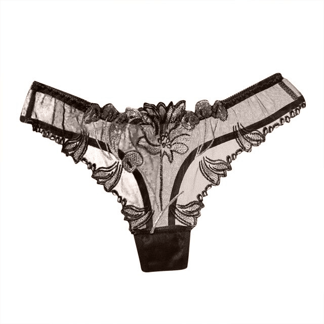 Eva Lace Panties - Exotique Femme