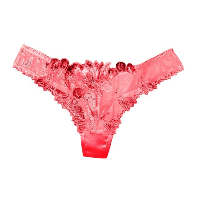 Eva Lace Panties - Exotique Femme